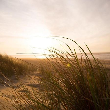 Kleine Nordseewelle Ohne Hund Norden Eksteriør bilde