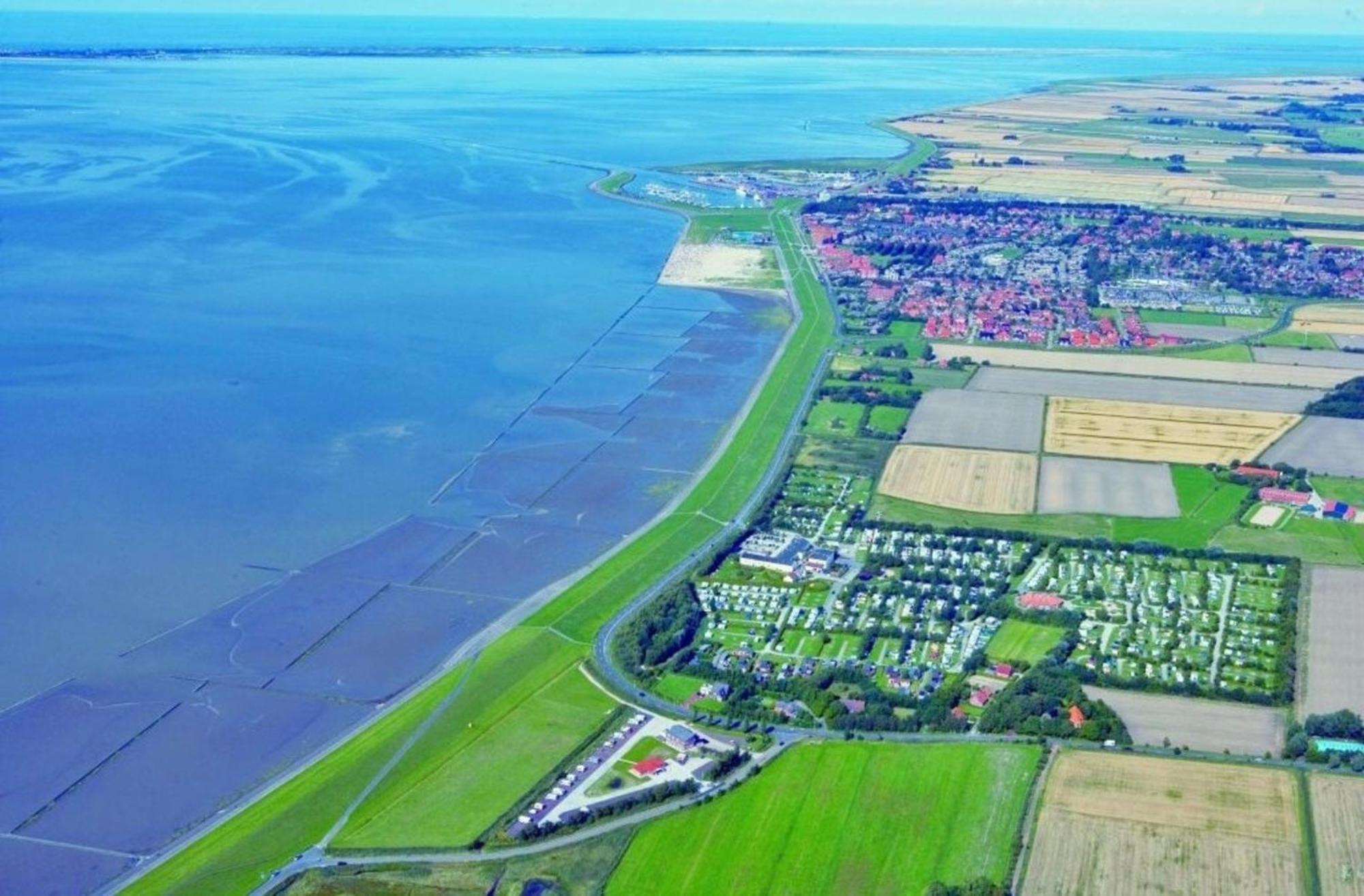 Kleine Nordseewelle Ohne Hund Norden Eksteriør bilde